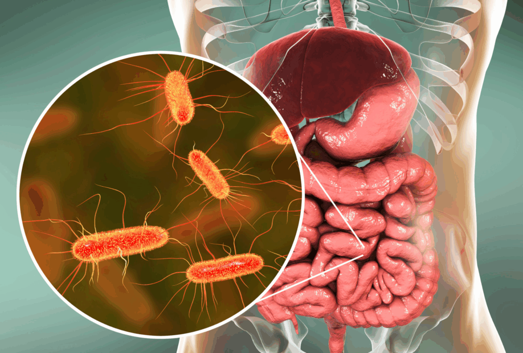 Microbiote intestinal